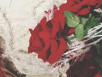 Close-up of red roses