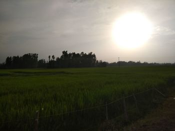 Scenic view of field against sky during sunset