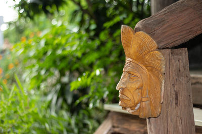 Close-up of a lizard on tree