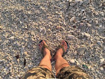 Low section of man standing on pebbles at beach