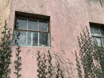 Low angle view of window on wall of building