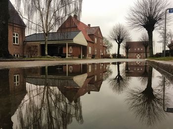 Reflection of bare trees and buildings in lake