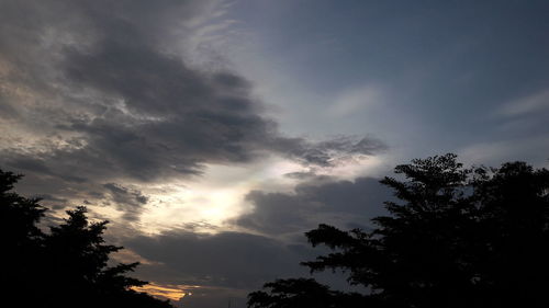 Low angle view of silhouette trees against sky