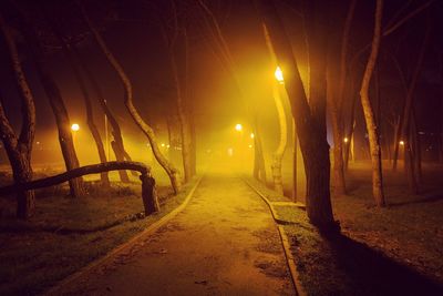 Illuminated street light by trees against sky at night