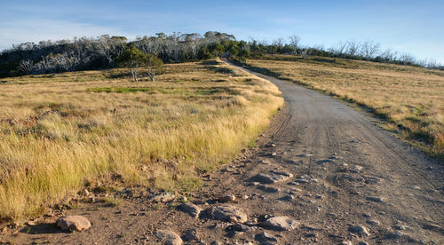 Road amidst field against sky