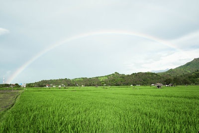 Scenic view of grassy field against cloudy sky