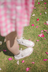 Low section of woman standing on pink flowering plants