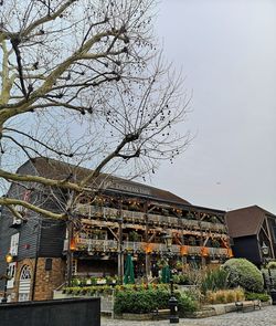 Low angle view of tree and building against sky