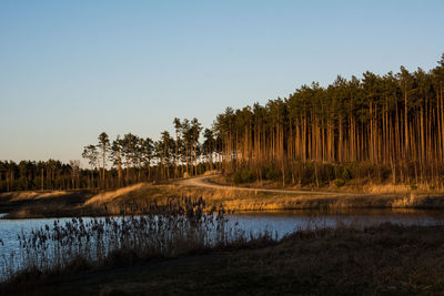 Scenic view of lake against clear sky