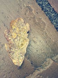 High angle view of heart shape on sand