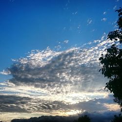 Low angle view of silhouette trees against sky