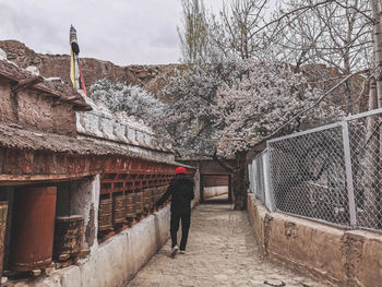 Rear view of man standing by building