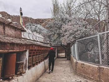 Rear view of woman touching prayer wheels at temple