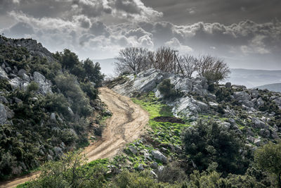 Scenic view of trees and mountains against sky