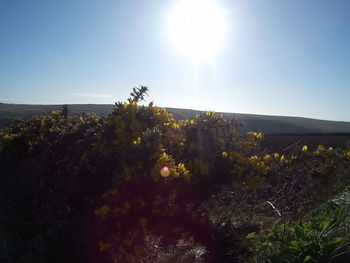 Scenic view of landscape against clear sky