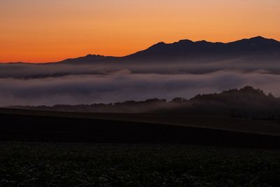 Scenic view of field against sky during sunset