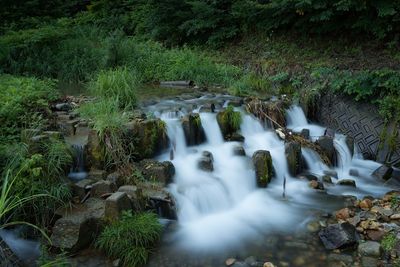 Stream flowing through rocks in forest