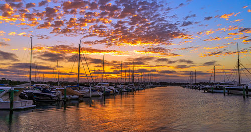 Sailboats moored in harbor at sunset
