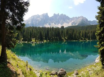 Scenic view of lake in forest against sky