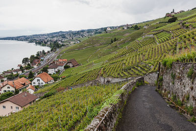 Wine and vineyards around the world - switzerland
