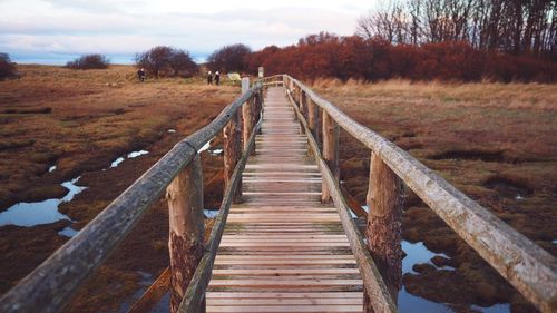 Boardwalk amidst trees against sky