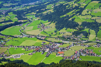 Scenic view of agricultural field