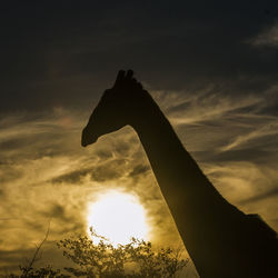 Low angle view of silhouette statue against sky during sunset