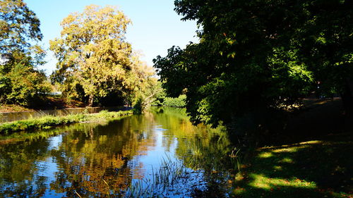 Scenic view of lake by trees against sky