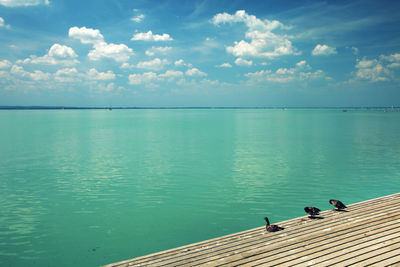 Scenic view of sea against sky