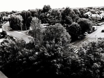 Trees against sky