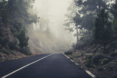 Empty road amidst trees against sky