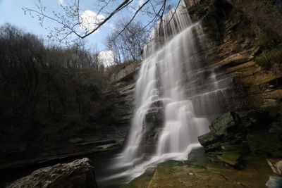 Low angle view of waterfall in forest
