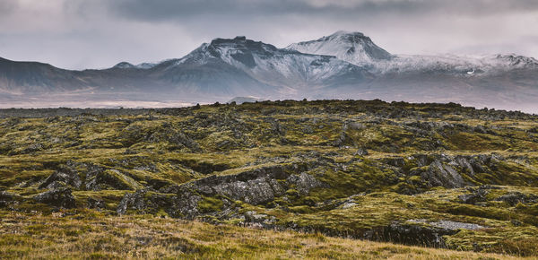 Scenic view of landscape against sky