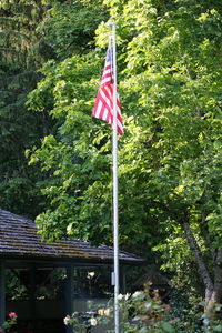 Low angle view of american flag