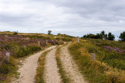 Road amidst plants on field against sky