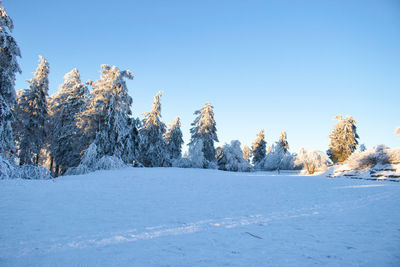 Scenic view of snowcapped landscape against clear blue sky