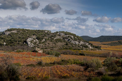 Scenic view of landscape against sky