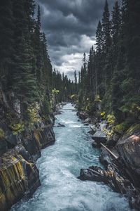 Scenic view of waterfall in forest against sky