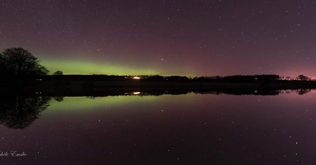 night, reflection, tranquil scene, scenics, tranquility, water, beauty in nature, star - space, astronomy, sky, lake, star field, silhouette, tree, nature, idyllic, standing water, majestic, dark, illuminated