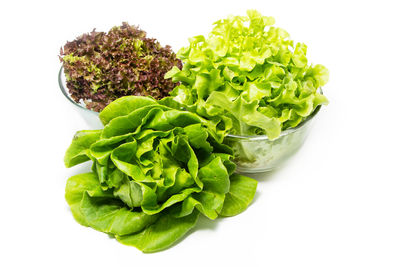 High angle view of vegetables against white background