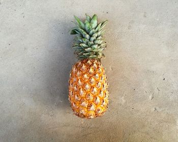 High angle view of fruits against wall