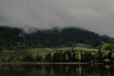 Scenic view of trees on landscape against sky