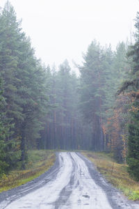 Road amidst trees in forest against clear sky