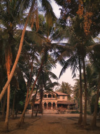 Palm trees by building against sky