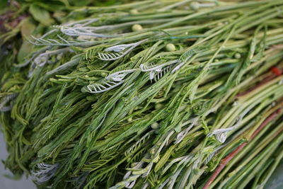 Full frame shot of vegetables for sale in market