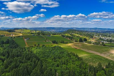 Scenic view of agricultural field against sky