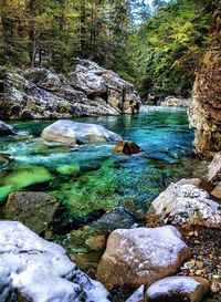 Stream flowing through rocks in forest