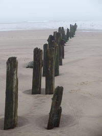 Wooden posts on beach against sky
