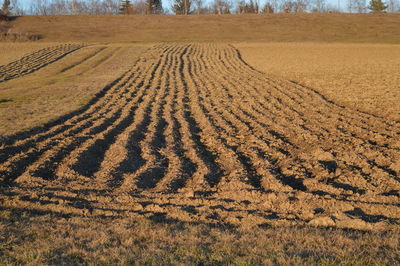 Scenic view of rural landscape