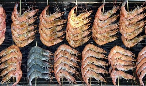 Close-up of grilled shrimp for sale